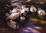 Alexander Koester Famous Paintings - Eleven Ducks in the Morning Sun